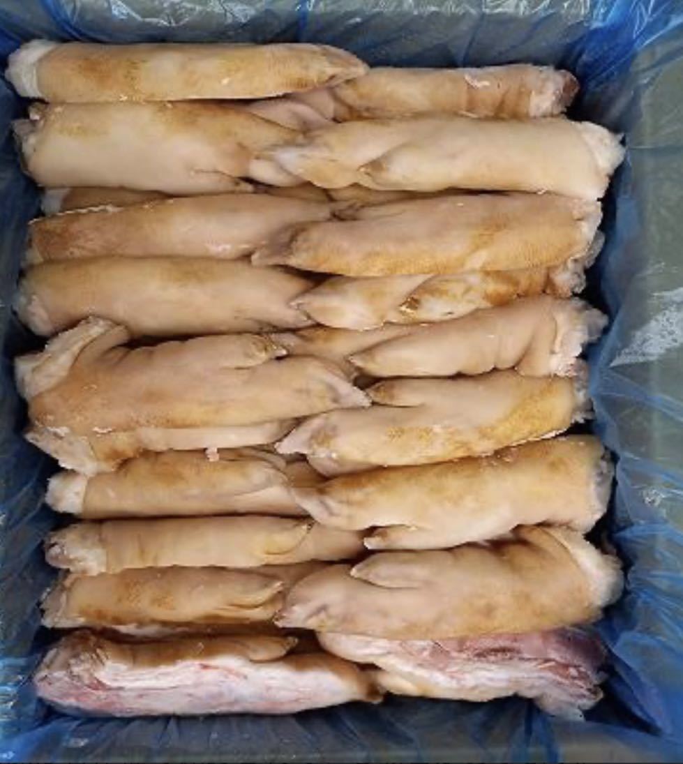 業務用 国産 冷凍 豚足 とんそく 半割り 10個入 ボイル 毛処理済み 約2kgの画像1