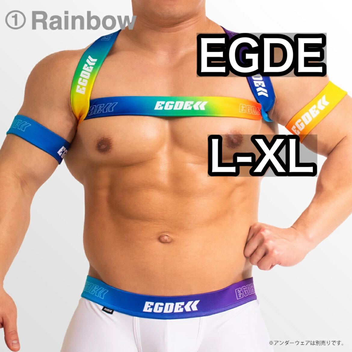EGDE RAINBOW ハーネス＆アームバンドset レインボー　L-XL GX3ビキニ_画像1