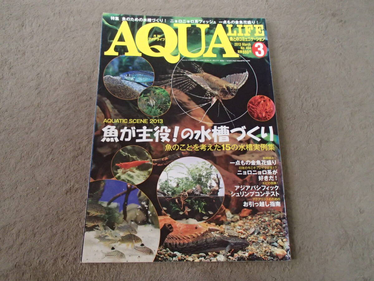 月刊 アクアライフ 2013 3 No.404 エムピージェー 書籍 本_画像1