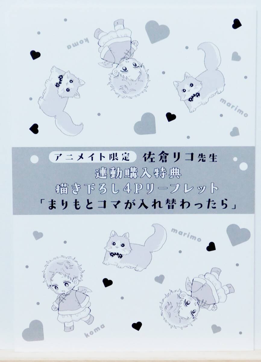 81: 想定外のスウィートマリッジ おやすみ、いとしい小鳥さま アニメイト 連動購入特典 リーフレット 佐倉リコ