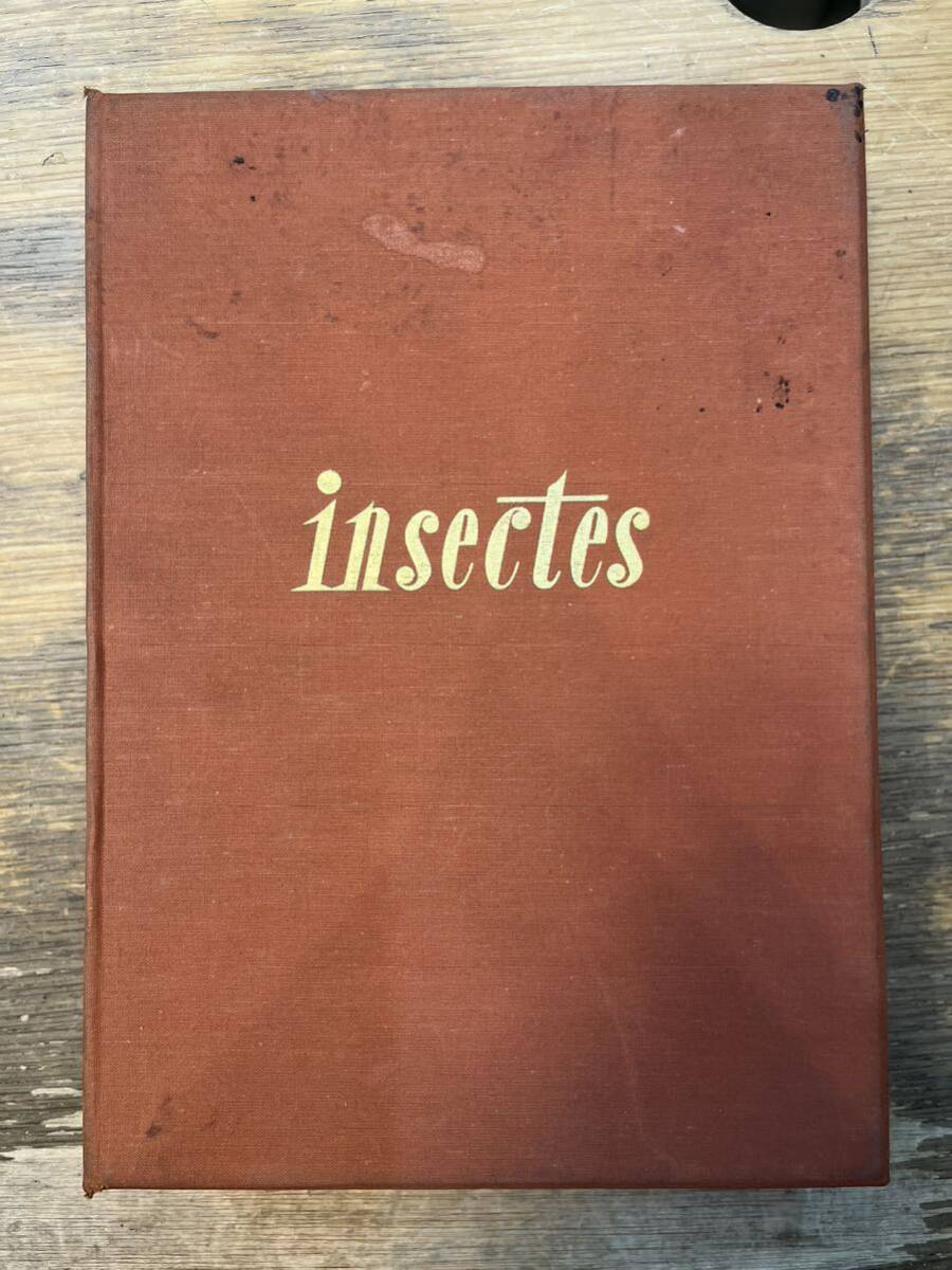 s0418-35.insectes/documents d'histore naturelle/プレート/192枚揃い/イラスト/洋書の画像1