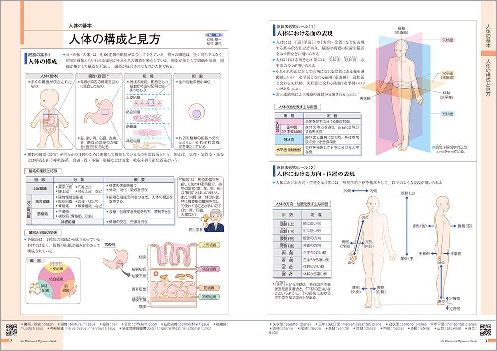 からだがみえる_画像3