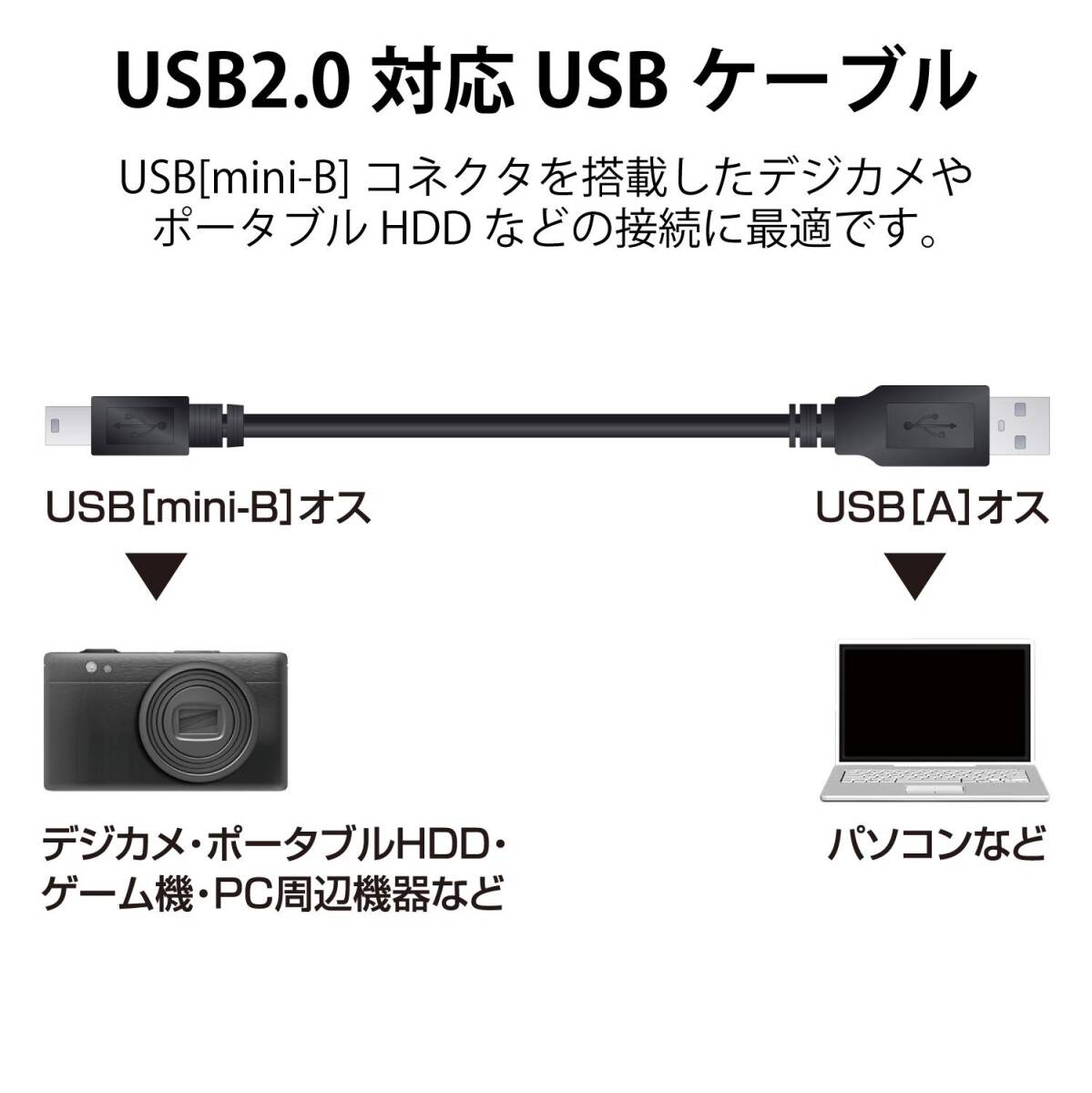 エレコム USBケーブル 【miniB】 USB2.0 (USB A オス to miniB オス) ノーマル 3m ブラック U2C-M30B_画像2
