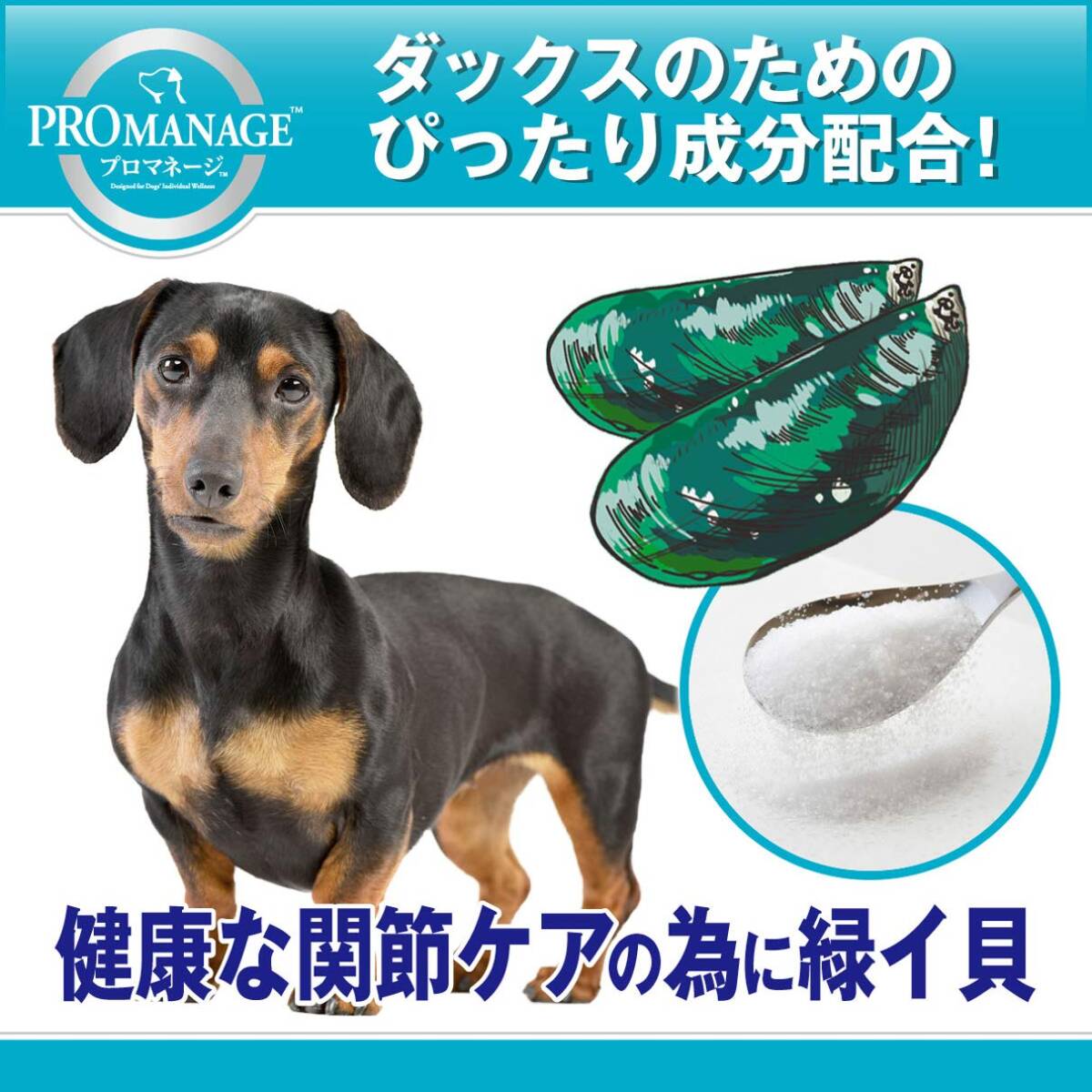 プロマネージ ドッグフード 犬種別 成犬用 ミニチュアダックスフンド専用 800g_画像3