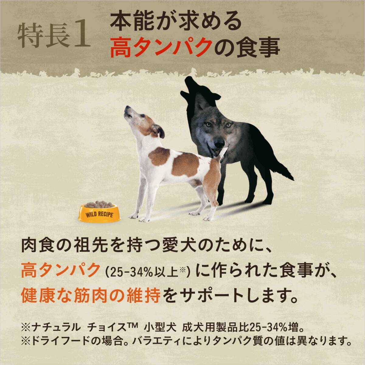 ニュートロ ワイルド レシピ 超小型犬~小型犬用 成犬用 サーモン 800g ドッグフード グレインフリー_画像2