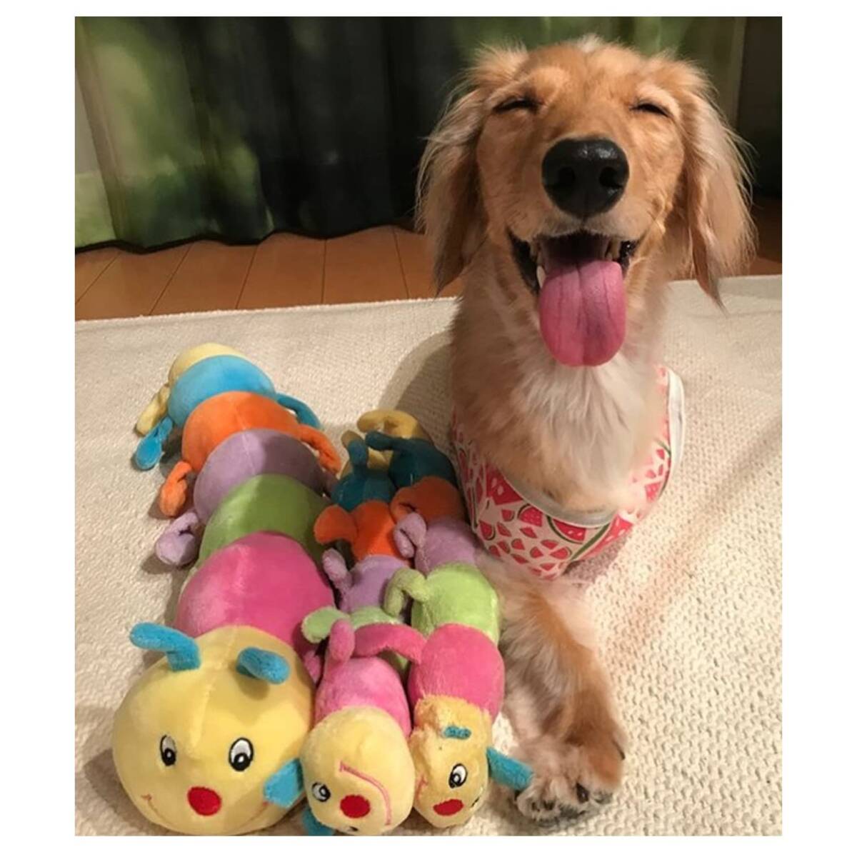 PLATZ PET SUPPLISES&FUN(プラッツ) 犬用おもちゃ 小型犬 キャタピー Jr._画像4