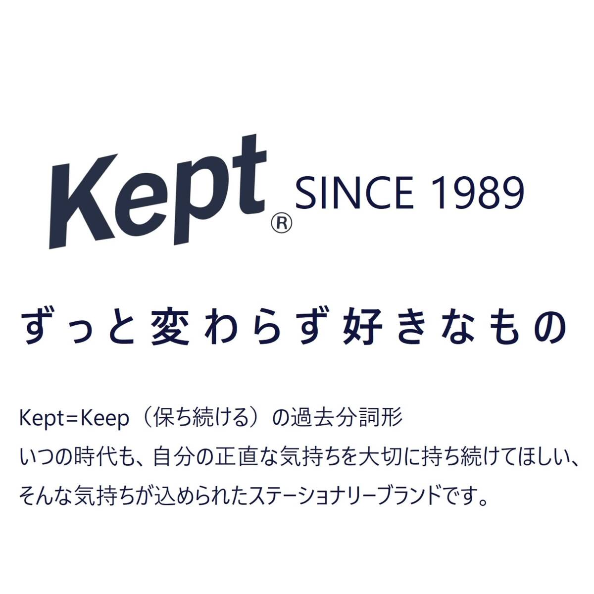 レイメイ藤井 ペンケース Kept クリアペンポーチ ブルーグレー KPF9022BG_画像7