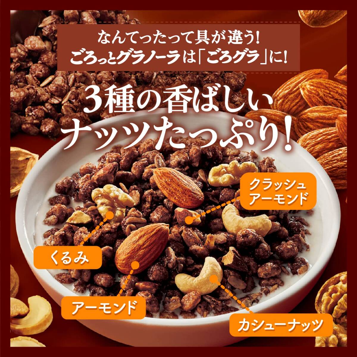 日清シスコ ごろグラ チョコナッツ 360g×6袋_画像5