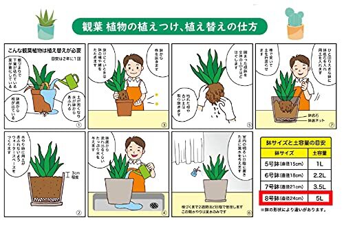 自然応用科学 観葉植物を楽しむ培養土5L 室内向け 水はけが良い_画像7