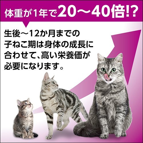 カルカン パウチ 12か月までの子ねこ用 まぐろ入り キャットフード まぐろ 70g×16 (まとめ買い)_画像2