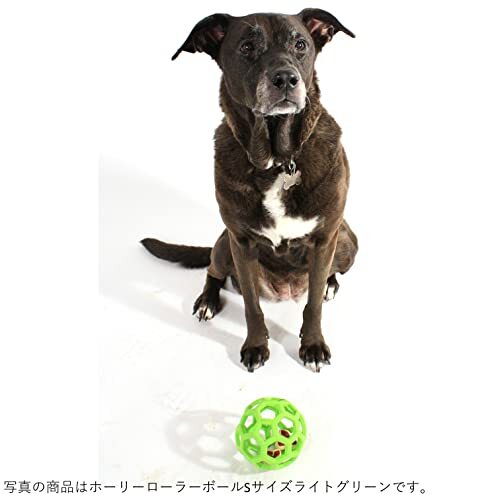 JW Pet(JWペット) 犬用おもちゃ ホーリーローラーボール Sサイズ ライトグリーン_画像8