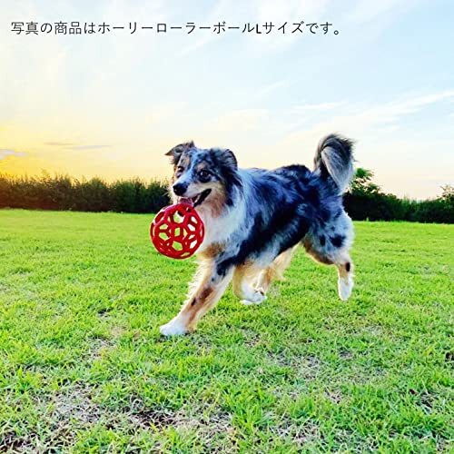 JW Pet(JWペット) 犬用おもちゃ 中型犬 ホーリーローラーボール Sサイズ オレンジ_画像7