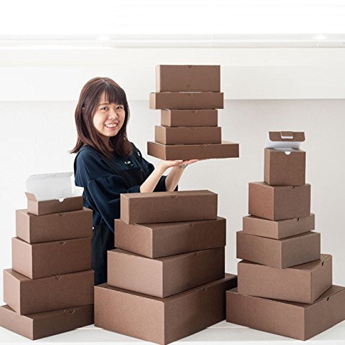 hez сделано в Японии одноцветный подарочная коробка M W223×H110×D170mm Brown 10 листов коробка HEADS MBR-GB3