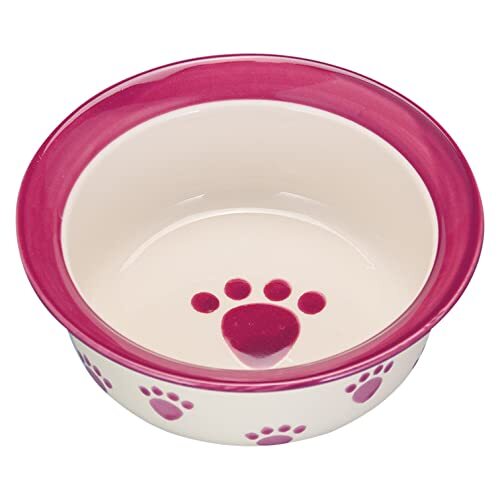 Pet rageous designs( pet reji male design ) dog for tableware pet pau dog bowl plum 