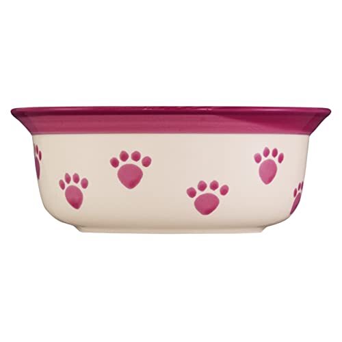 Pet rageous designs( pet reji male design ) dog for tableware pet pau dog bowl plum 