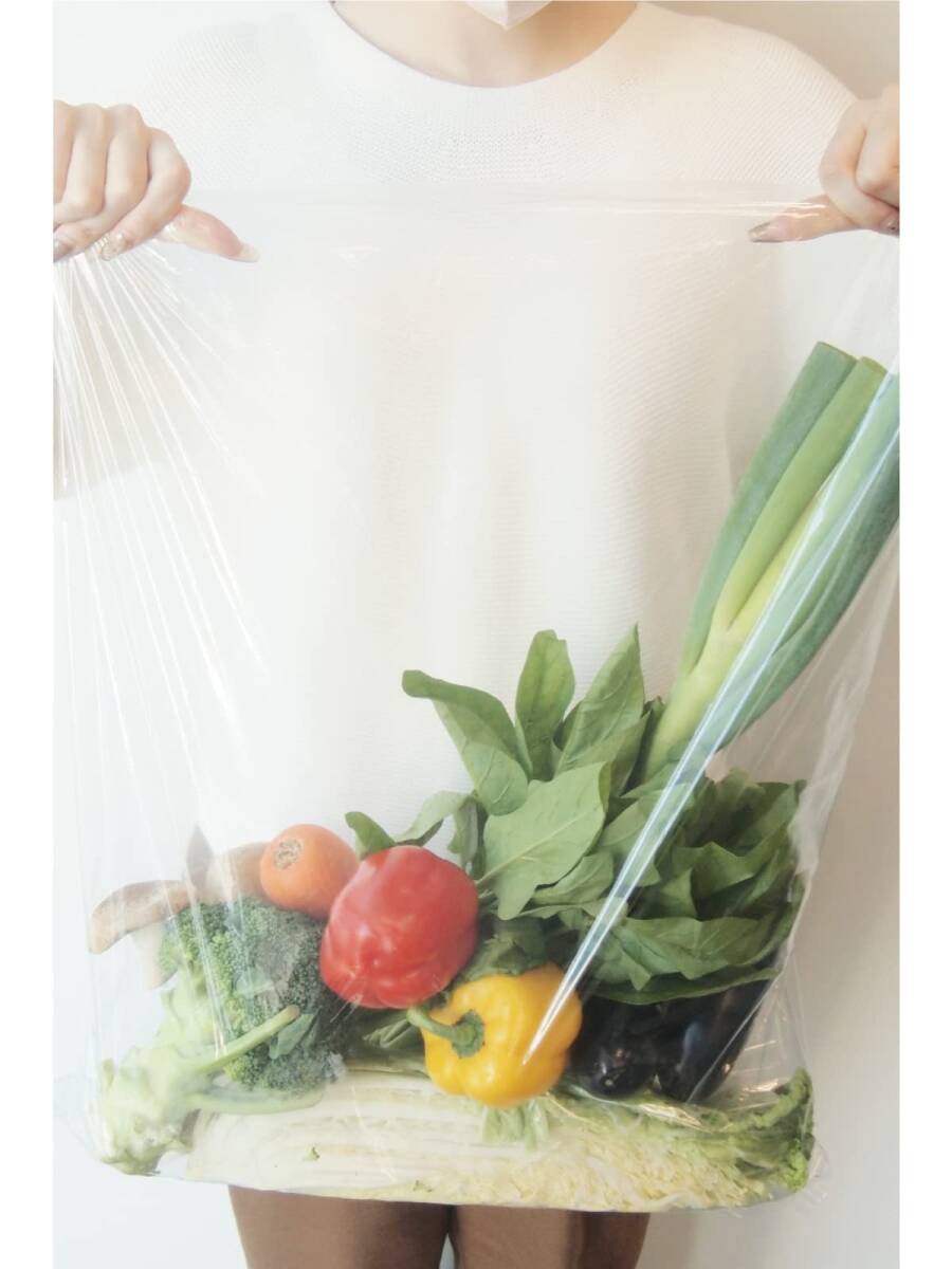 オルディ 食品保存 ポリ袋 規格袋 透明 20号 横46×縦60cm 厚み0.03mm 100枚入 食品衛生法適合品 ビニール袋 L03-20_画像5