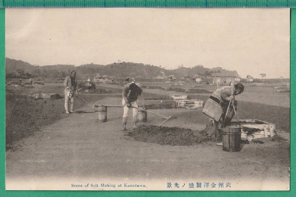  открытка с видом 59# Kanagawa #.. золотой . производства соль. свет .* Meiji Taisho период / соль рисовое поле 