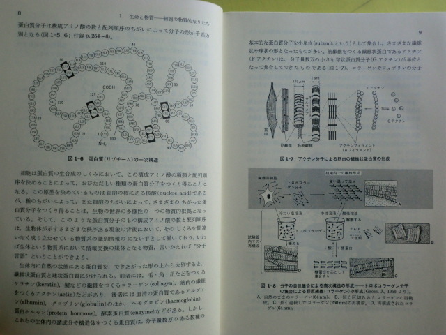 【脳と神経の生物学：細胞学的基礎・行動と脳・生体物質の化学構造・4章】 伊藤薫・著者 昭和57年版 薄い経年焼け_画像6