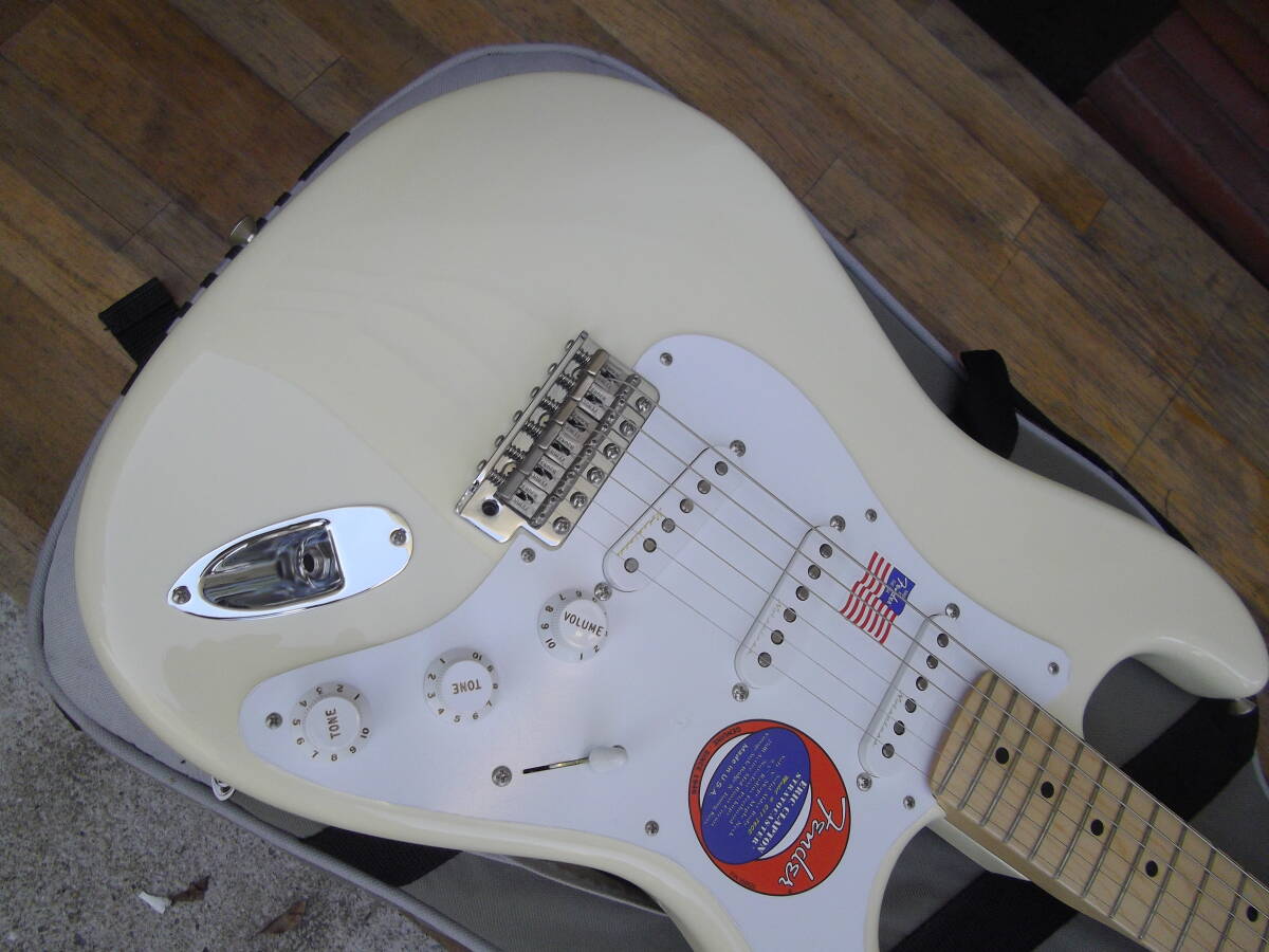 FENDER　　ECモデル　　WHT_画像5