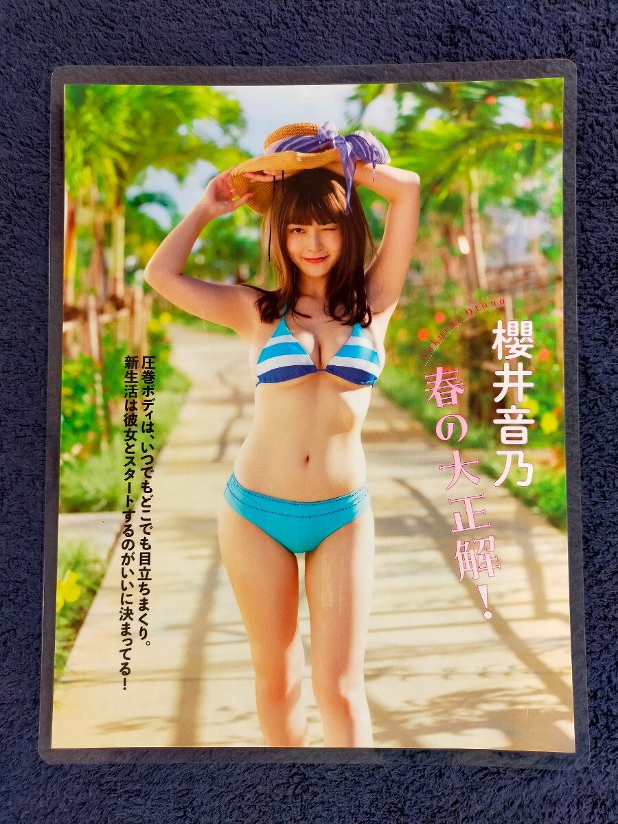 【ラミネート加工/岡崎紗絵 7P 櫻井音乃 3P】FLASH2023年4月18日 切り抜き 10Pの画像7