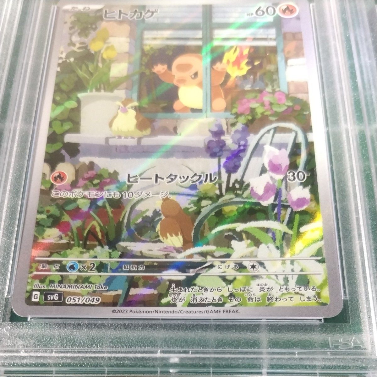 フシギダネAR ヒトカゲAR ゼニガメAR　PSA10　連番