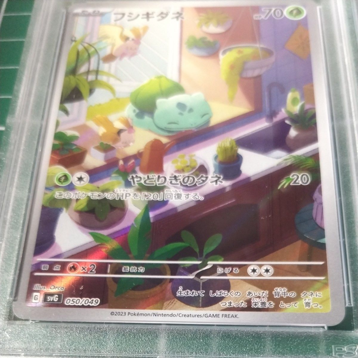 フシギダネAR ヒトカゲAR ゼニガメAR　PSA10　連番