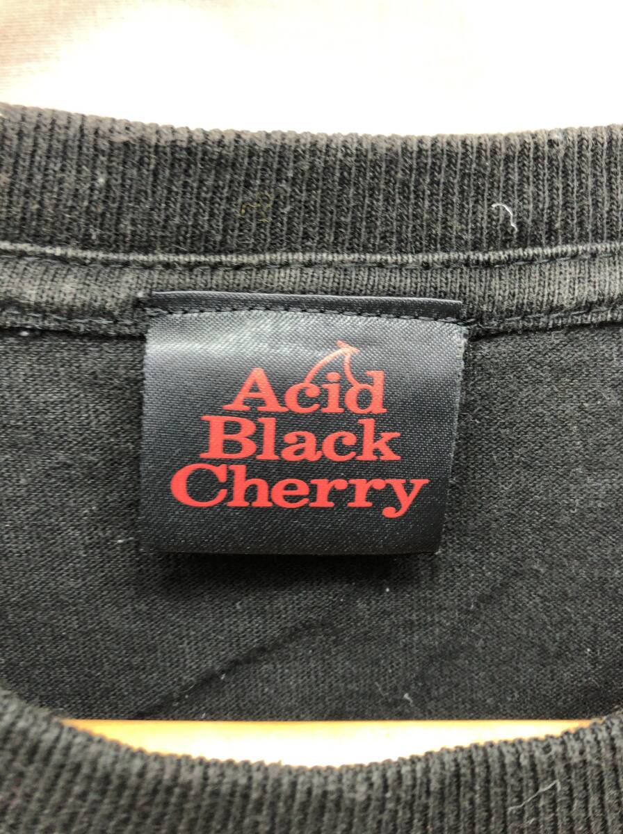 Acid Black Cherry ライブ Tシャツ 2012 ブラック アシッドブラックチェリー 24041702_画像3