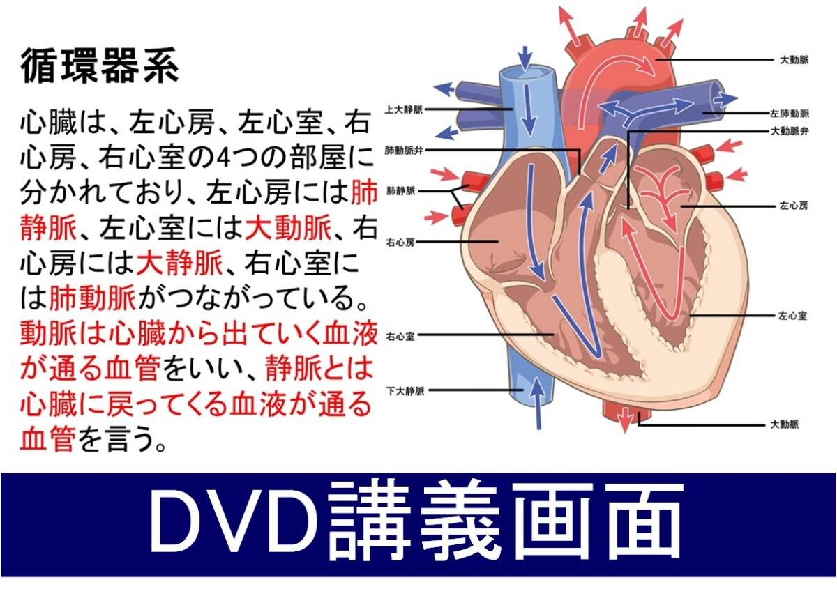 一種衛生管理者 DVD+テキスト+過去問(スマホ学習データ付）の画像6