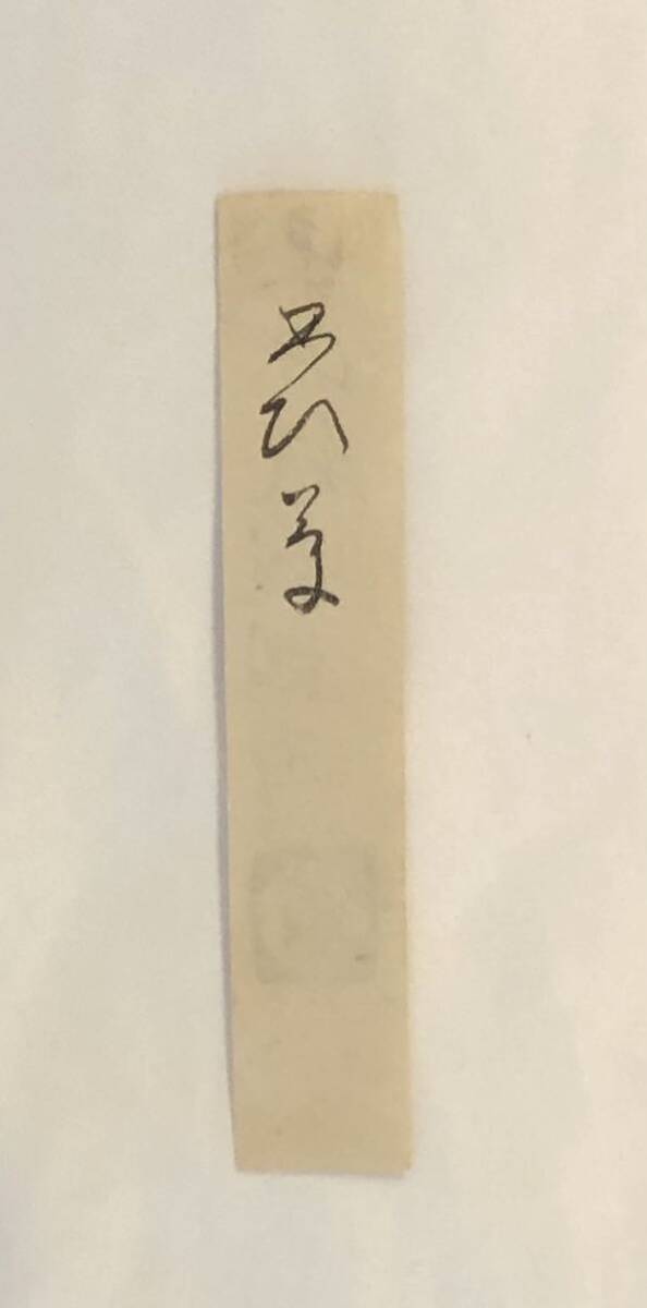 伝中山親綱　古筆切 未装　古筆極札付 物語切　　　公家　公卿　和歌集　詞書　絵巻物　_画像3