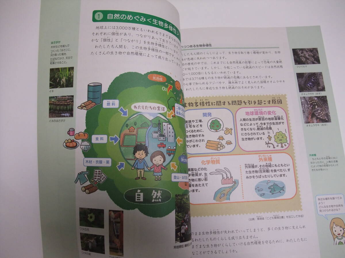 o... environment . elementary school 5*6 year raw *5 year 6 year textbook . teaching material society 