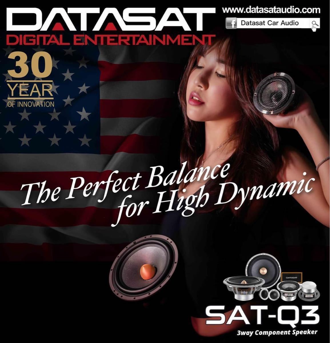 【保証付】【在庫ラスト！大好評】DATASAT SAT-Q3 ハンドメイドハイエンド3wayスピーカーセット (17cm ウーファー ツイーター スコーカー)の画像9