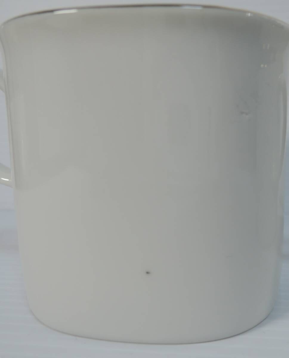 ☆A107■ネスカフェ　花のカップ　マグカップ　陶器製　２個■未使用_画像6