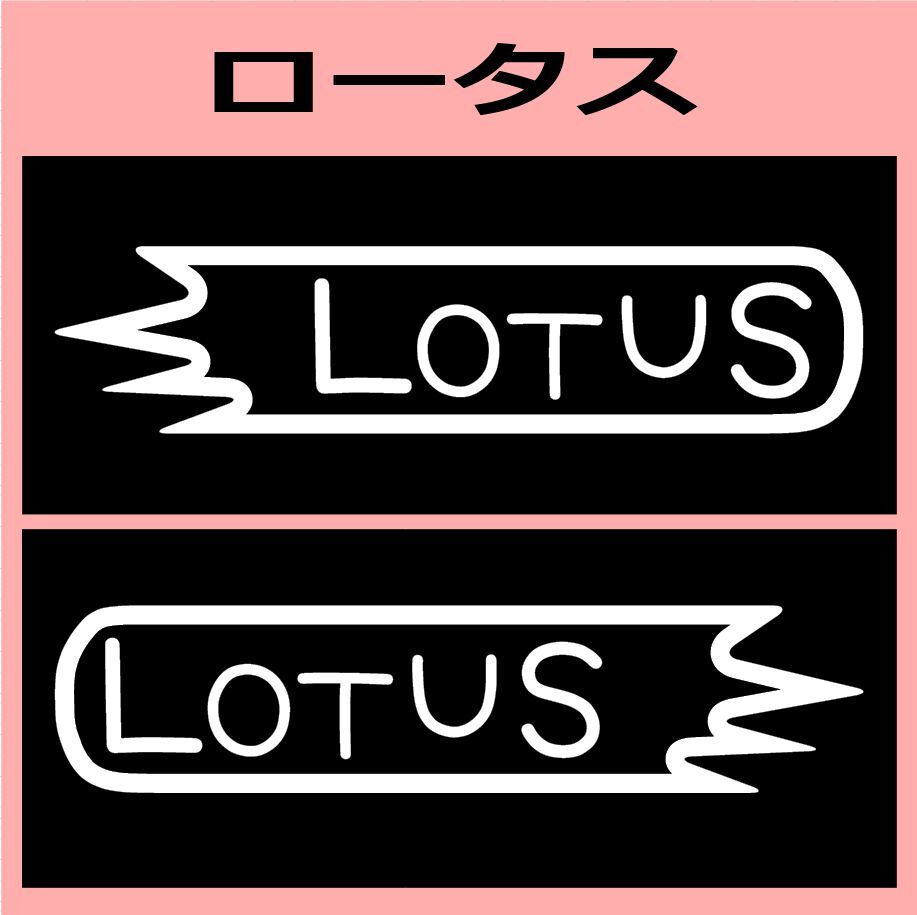 VD1)lotus_ロータス カッティングステッカー シールの画像1