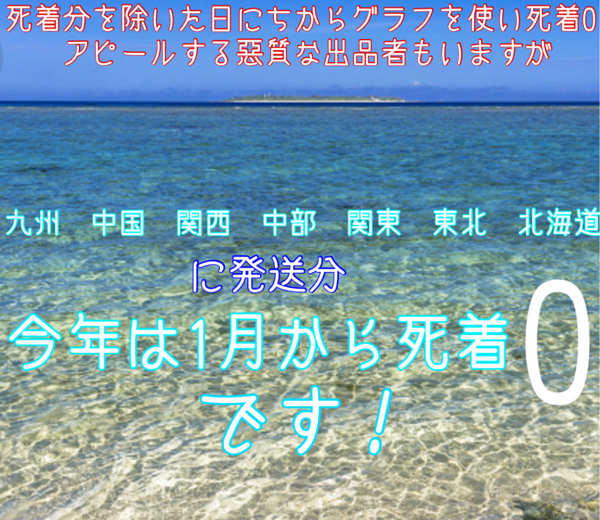 シッタカ最強貝（スガイ貝）5個＋α　イシダタミ貝5個＋α　ヤドカリ10匹＋α　ミックス20個　2000円_画像7