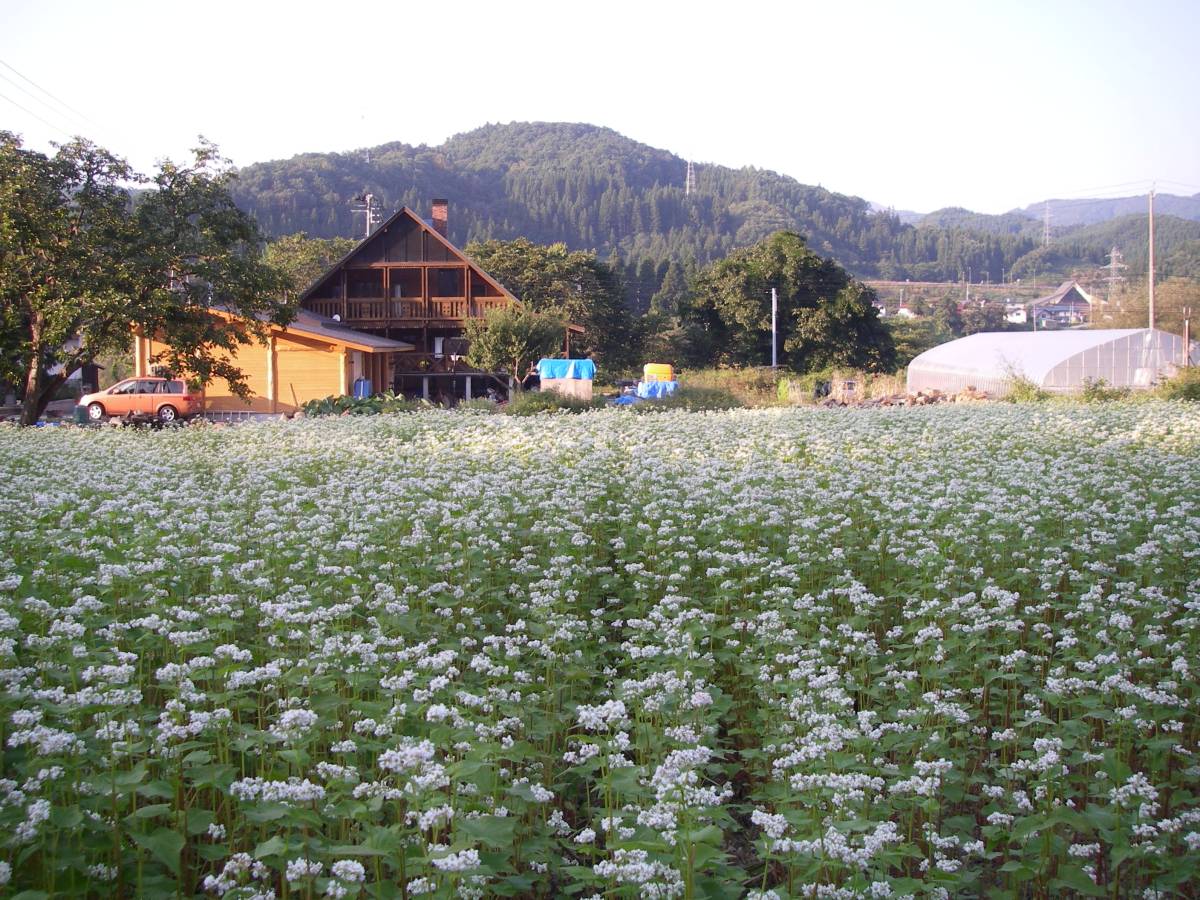 月山の麓で栽培した特別栽培米（令和４年産精米雪若丸２0ｋｇ）_農場全景です
