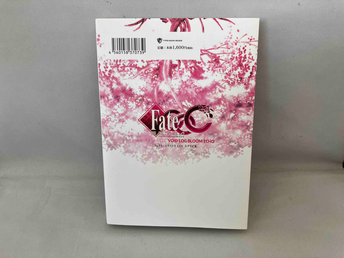Fate/EXTRA CCC VOID LOG:BLOOM ECHO(Ⅳ) 奈須きのこ_画像2