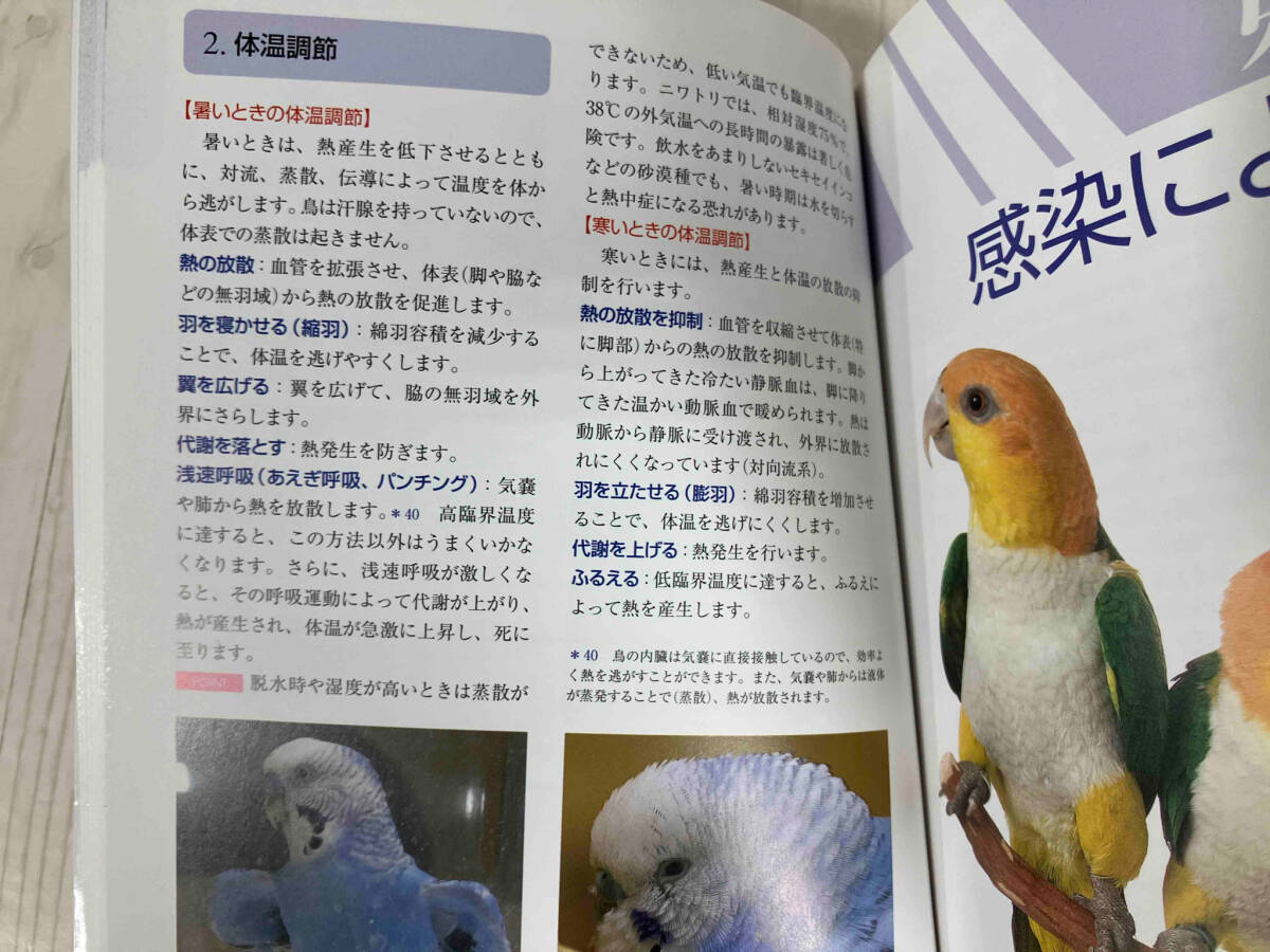  companion bird. sick . various subjects small .. history bird parakeet parrot other 