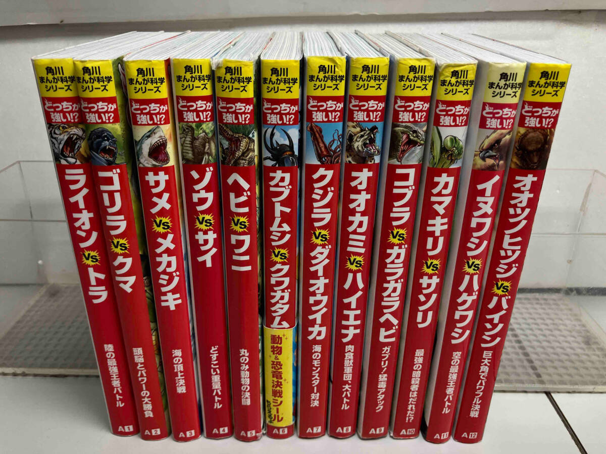 臨く(月+句)西朱封 山東龍山文化墓葬的発掘与研究』(中国語 臨く(月+句)西朱封 山東龍山文化墓葬的発掘与研究』(中国語