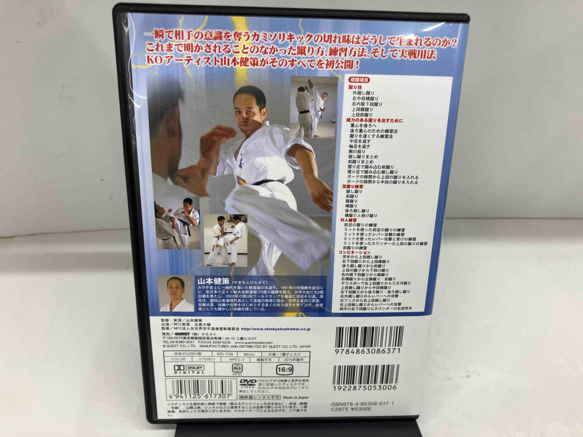 DVD 山本健策 カミソリキック 実践篇の画像2