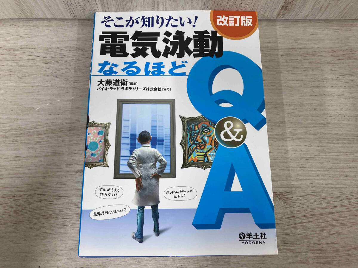 そこが知りたい!電気泳動なるほどQ&A 改訂版 大藤道衛の画像1