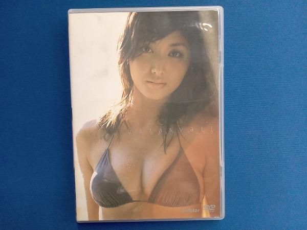 DVD Sarasvati ~水の女神~_画像1