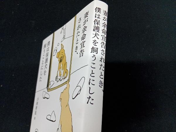 妻が余命宣告されたとき、僕は保護犬を飼うことにした 小林孝延_画像2