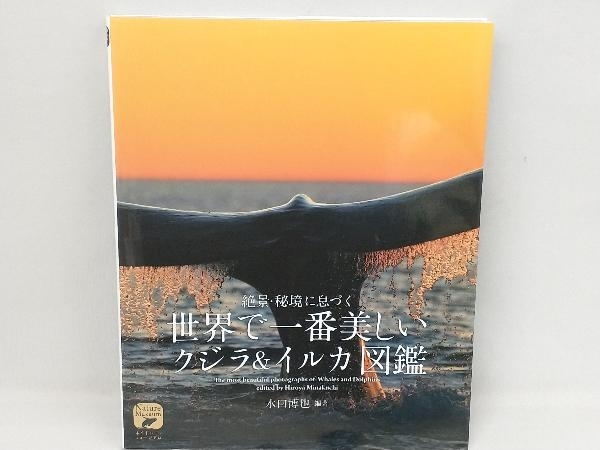 世界で一番美しいクジラ&イルカ図鑑 水口博也_画像1