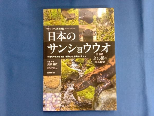 日本のサンショウウオ 川添宣広_画像2