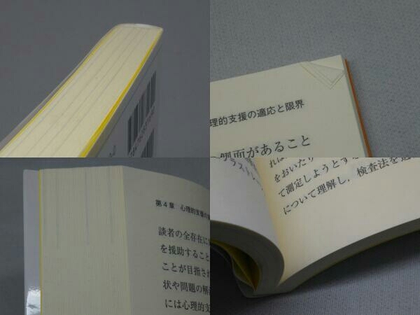 臨床心理学と心理的支援を基本から学ぶ (濱田智崇 編)_画像5