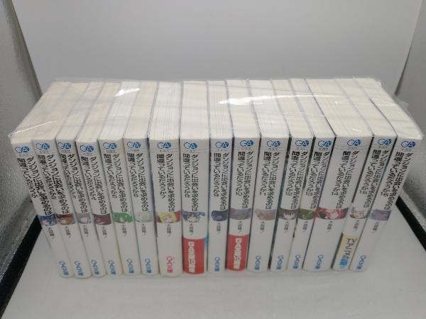 ダンジョンに出会いを求めるのは間違っているだろうか　19巻長編セット+ソード・オラトリア 12巻長編セット 大森藤ノ　31冊セット_画像2