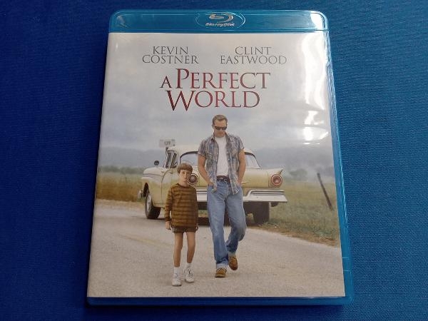  Perfect * world (Blu-ray Disc)