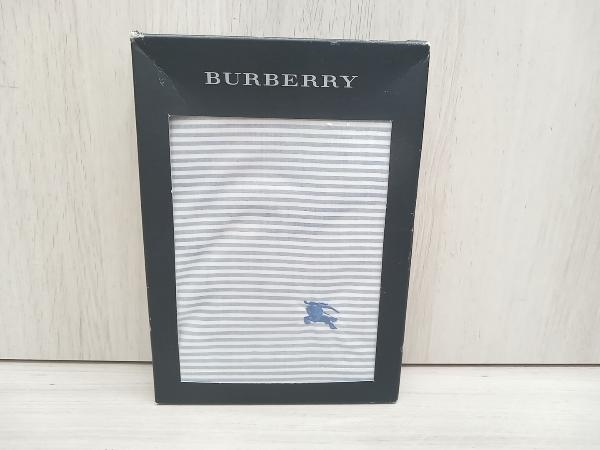 【未使用品】BURBERRY バーバリー トランクス Mサイズ ストライプ ブルー系_画像1