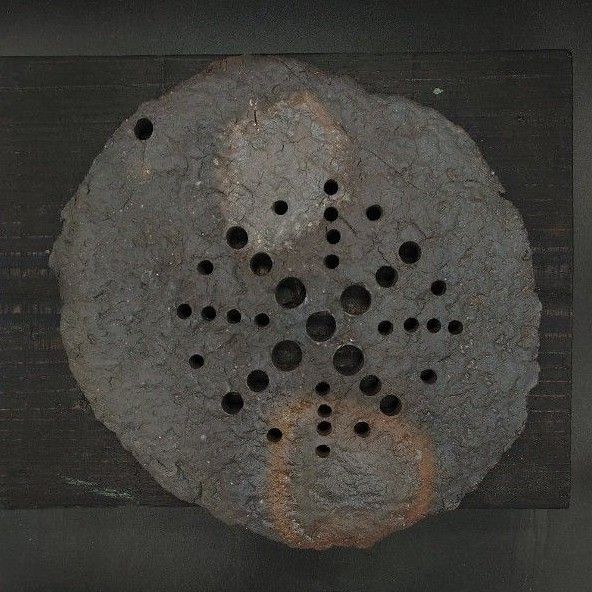 TB7 CELECT オリジナル着生陶板 M 炭化焼成 着生板 ハンドメイド 着生植物  陶板仕立て ビカクシダ エアプランツ