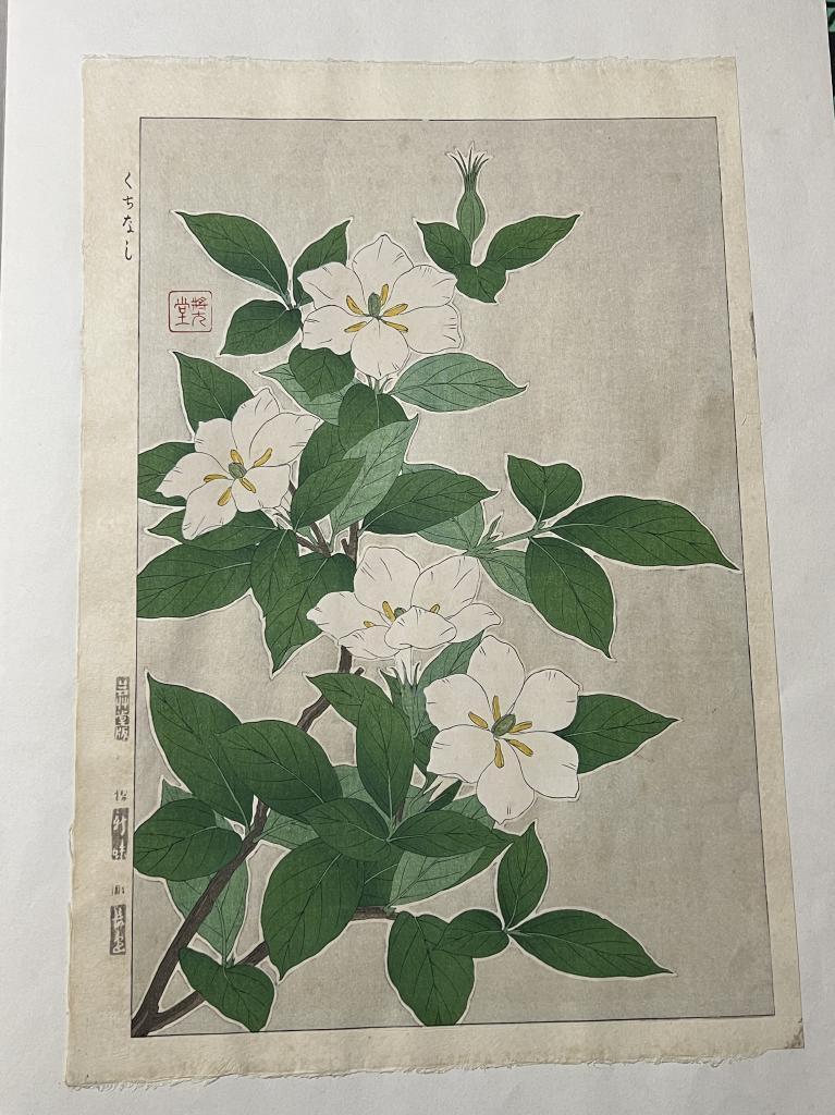 【真作】 河原崎奨堂 クチナシ 日本の花こよみ 手摺木版画 植物 芸艸堂 当時物 大判 彫長島 摺新味 新版画 かわらさきしょうどう_画像4